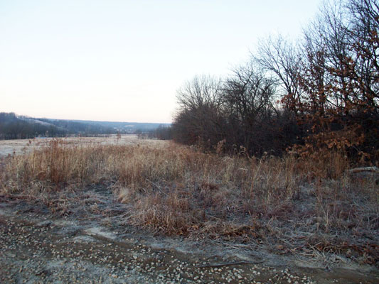 WFHBS02A - Top of Ridge Looking West