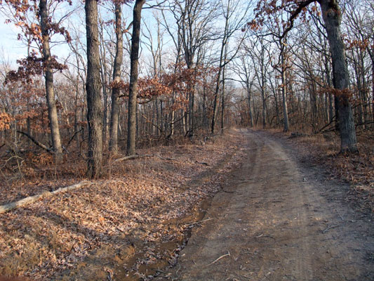 WFHBS03A - Continuation of North South Ridge Road
