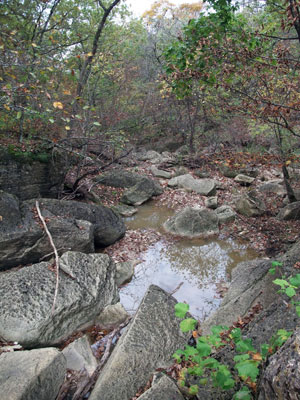 BS10A - Creek and Water