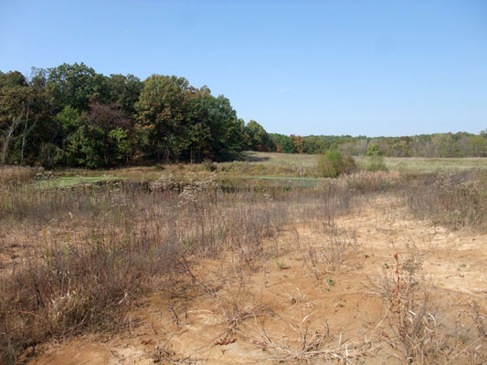 WFHBS13 - Exisiting Pond in Southern Meadow