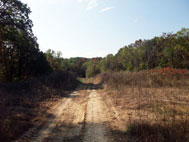 BS15 - Continuation of Road - Connection to Residential Area