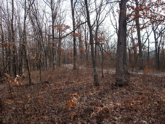 WFHBS15 - West Ridge Road Leading Back to Highway