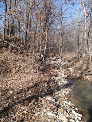 BS16 - Creek North of East West Ridge Road