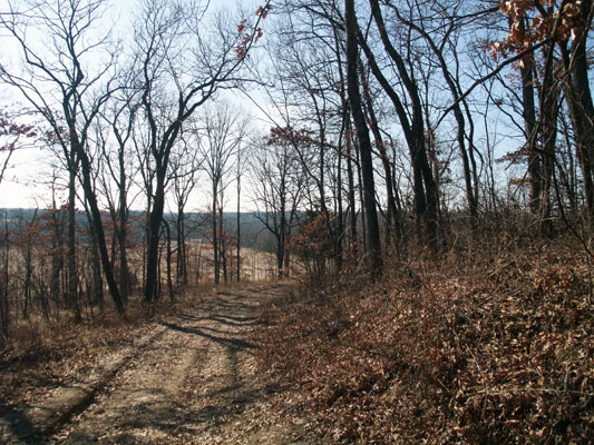 WFHB17 - Road Leading Down to Noth West Meadow