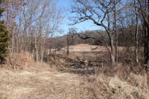 BS18 - North West Meadow and Exit to Highway