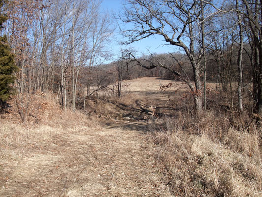 WFHBS18 North West Meadow