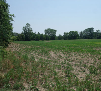 EC - Proposed Site for Arena Barn Complex West Field