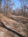 Road Entrance to proposed Building Site