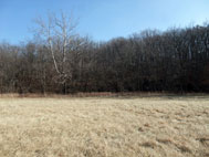 Proposed Pond Site Valley to the North