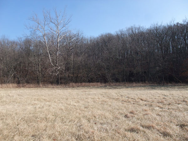 HH05A - Meadow Below House
