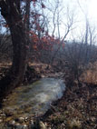 Existing Stream Valley to the North