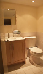 W.F. Heartwell Architect - HPR - New Powder Room - Basement