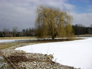 HT04 - Exisitng Pond Looking South