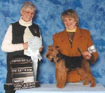 Welsh Terrier - Lee Steeves with One of Her Winning Wleshies
