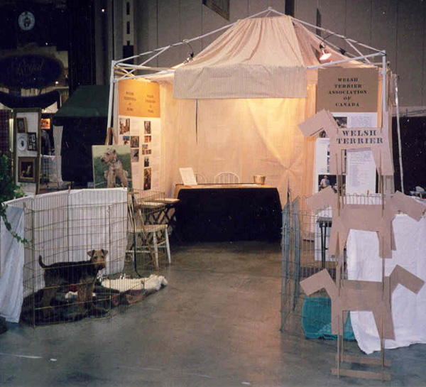 Welsh Terrier - Royal Winter Fair - WTCA Display - 1998